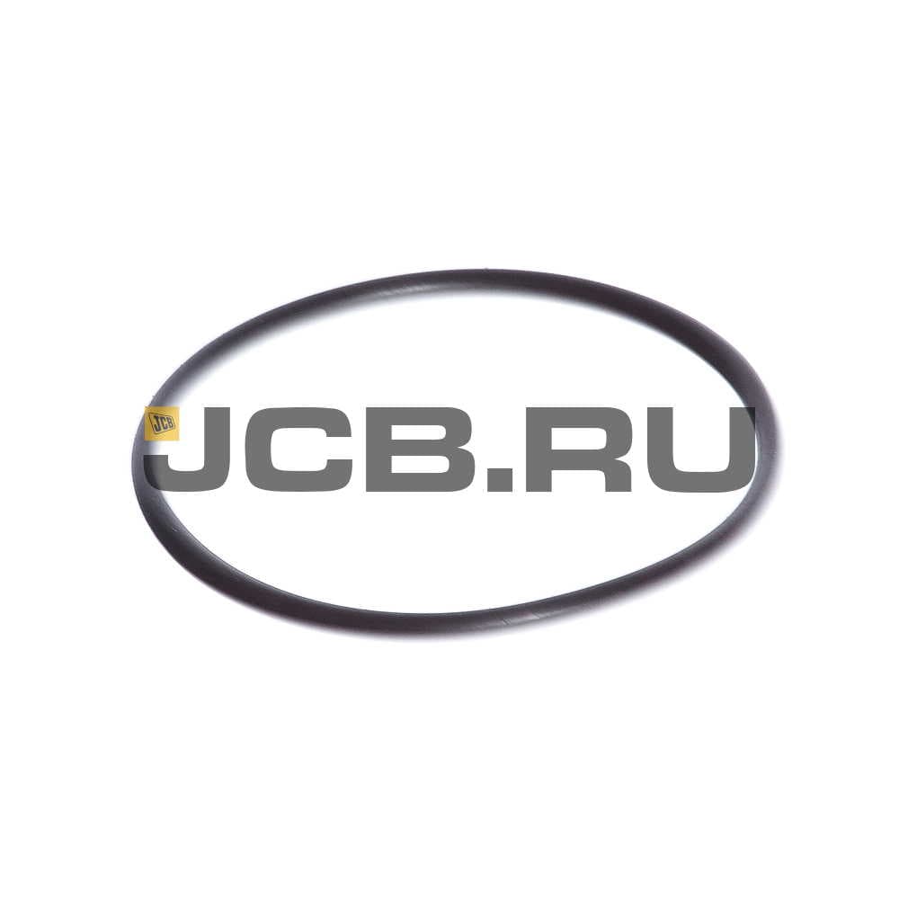 Кольцо помпы JCB 02/200087