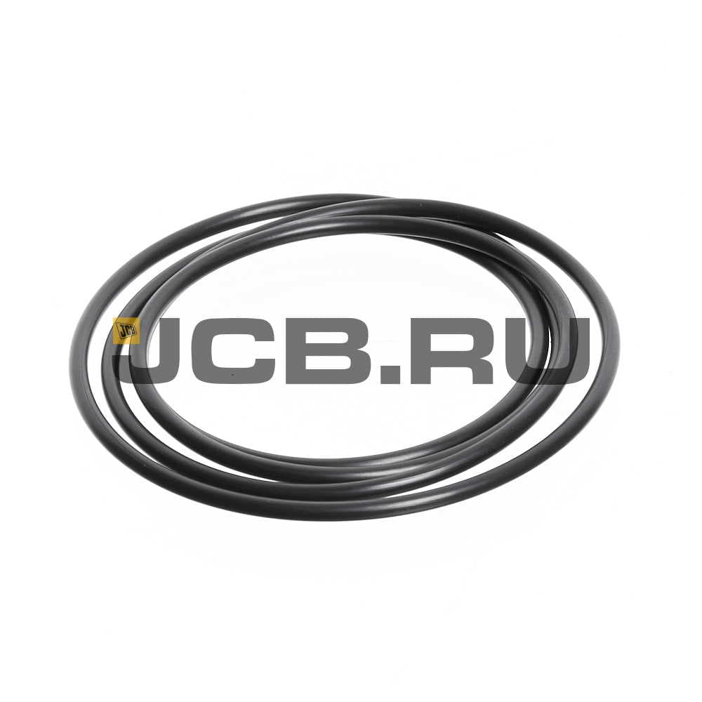 Сальник JCB 450/24419